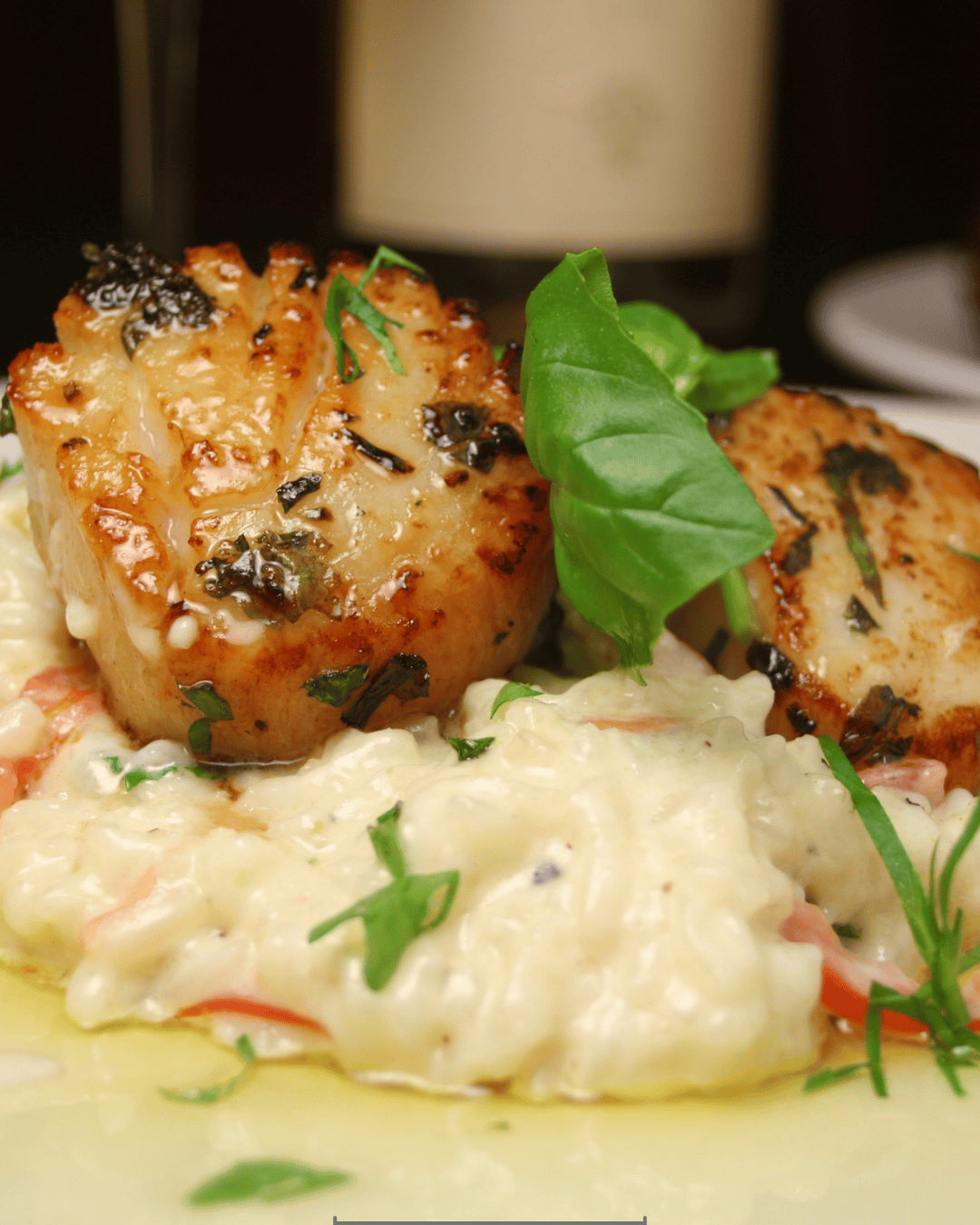 Gordon Ramsay Scallop Risotto Recipe